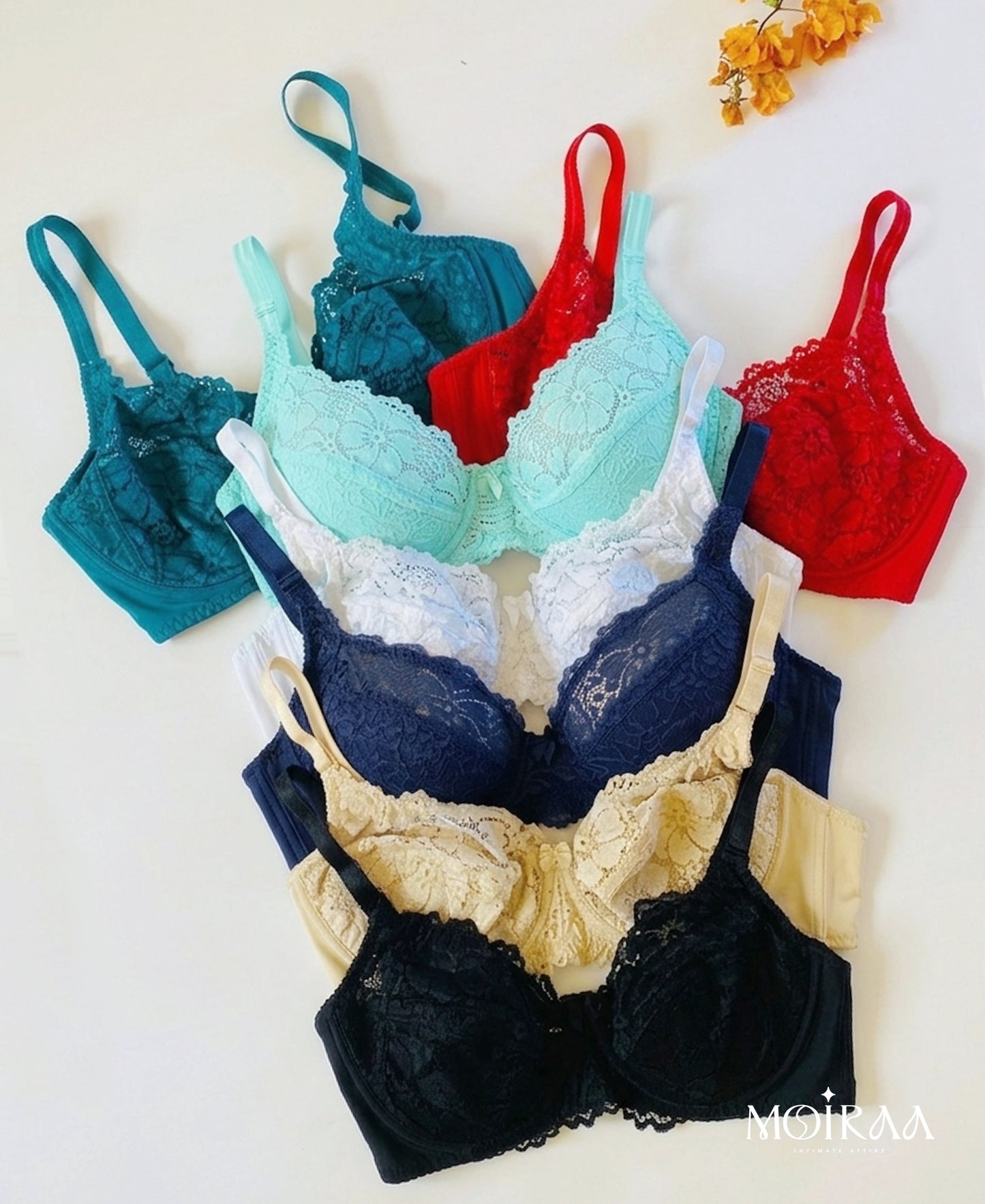 Bianca’s Lace Desire Curvy Bra