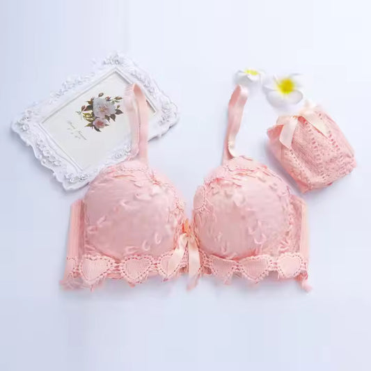 Sexy Transparent Mesh Lace Bra Set – Push-Up, Embroidered & Modern Chic