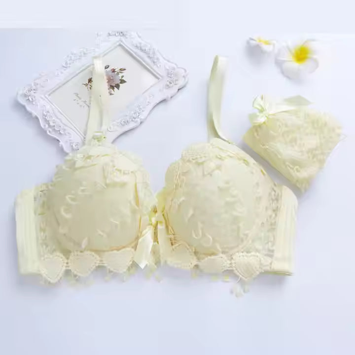 Sexy Transparent Mesh Lace Bra Set – Push-Up, Embroidered & Modern Chic