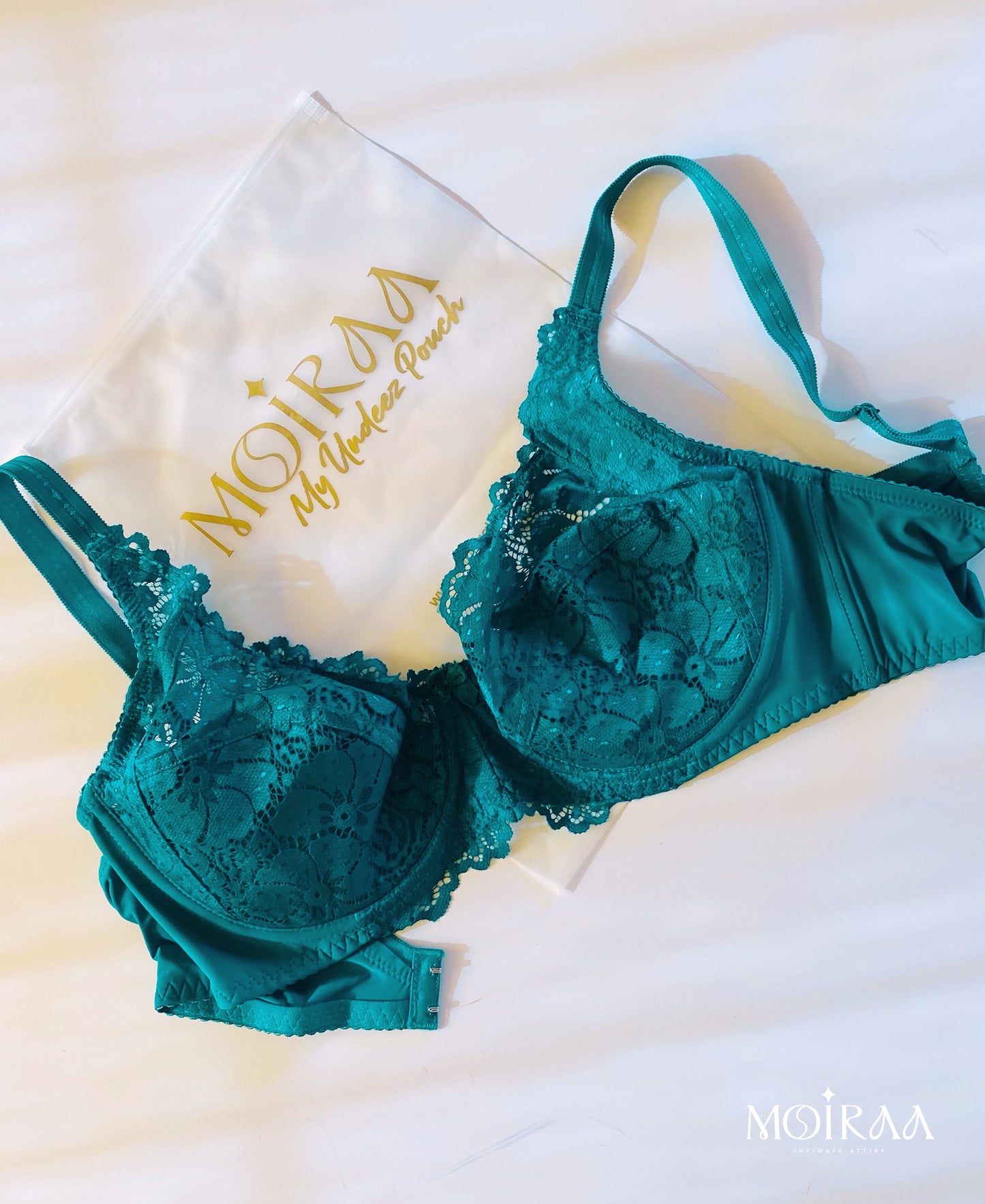 Bianca’s Lace Desire Curvy Bra