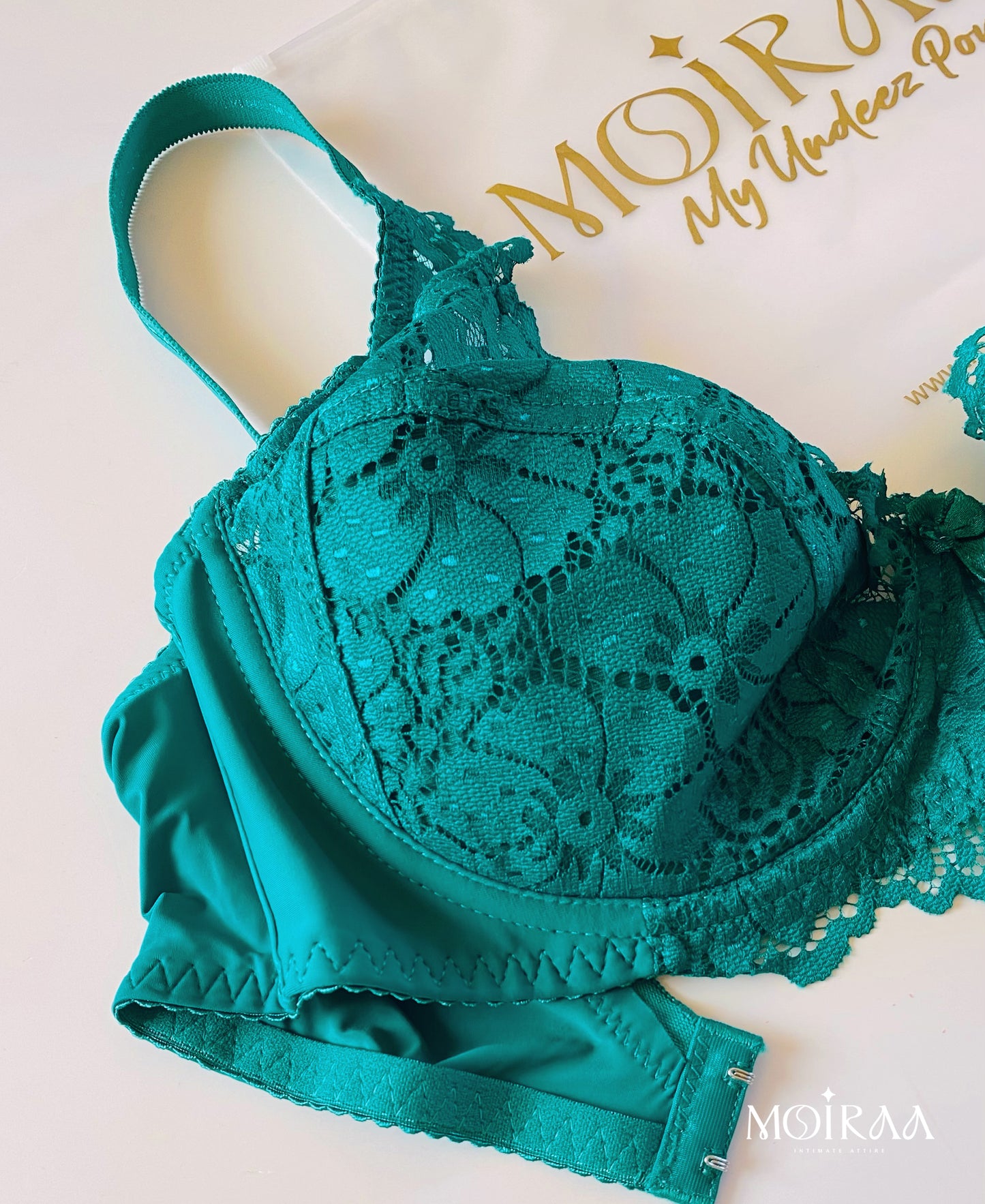 Bianca’s Lace Desire Curvy Bra