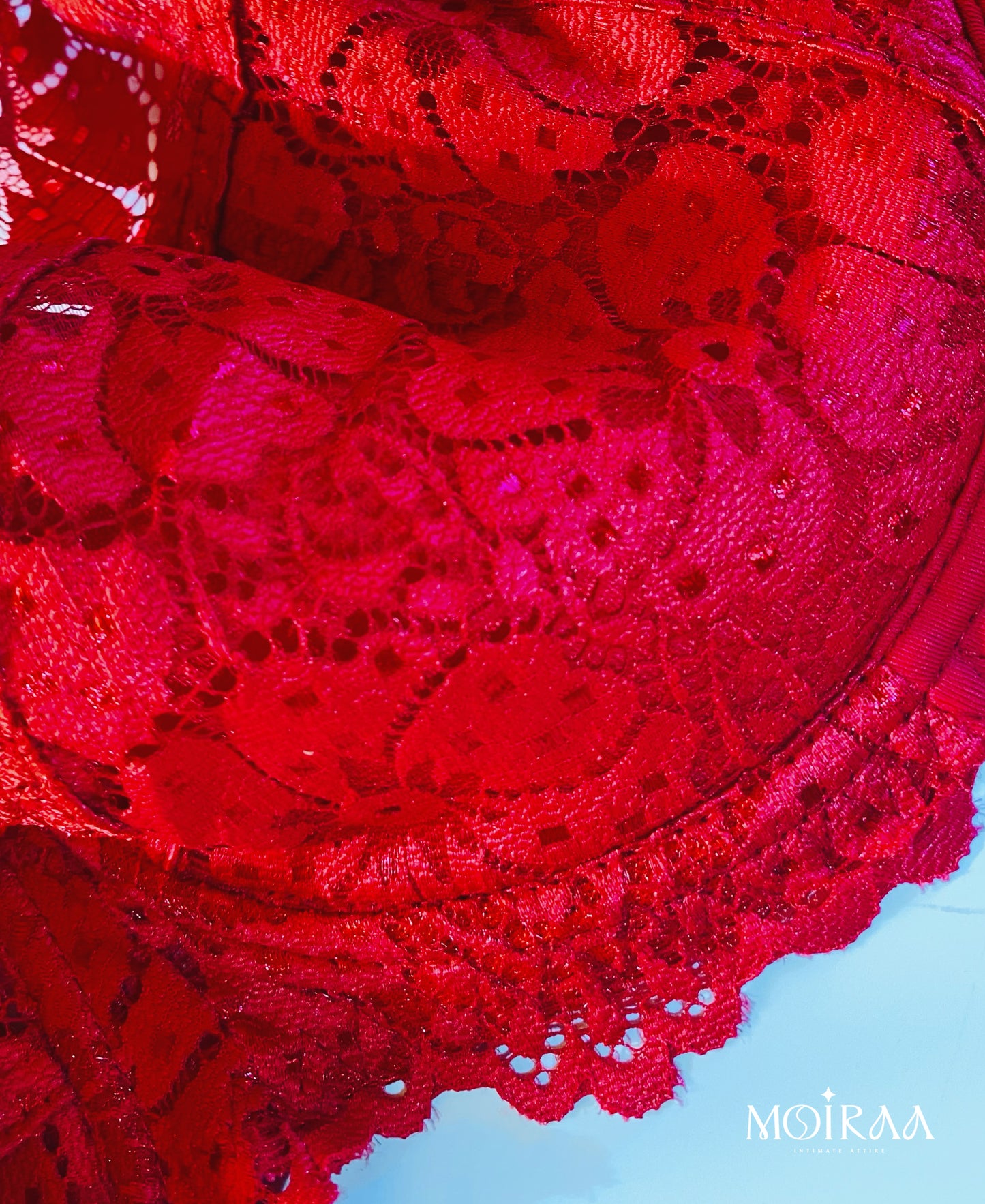 Bianca’s Lace Desire Curvy Bra